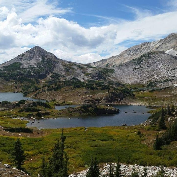 Meet your Posher, Kathy - Picture 1 of 1